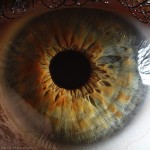 Extreme-close-up-of-human-eye